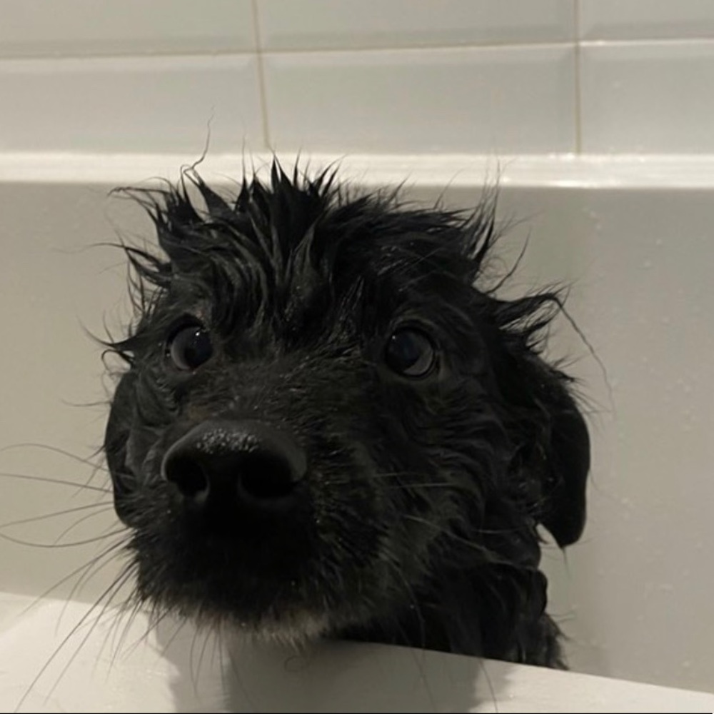 Meet your Posher, Nge